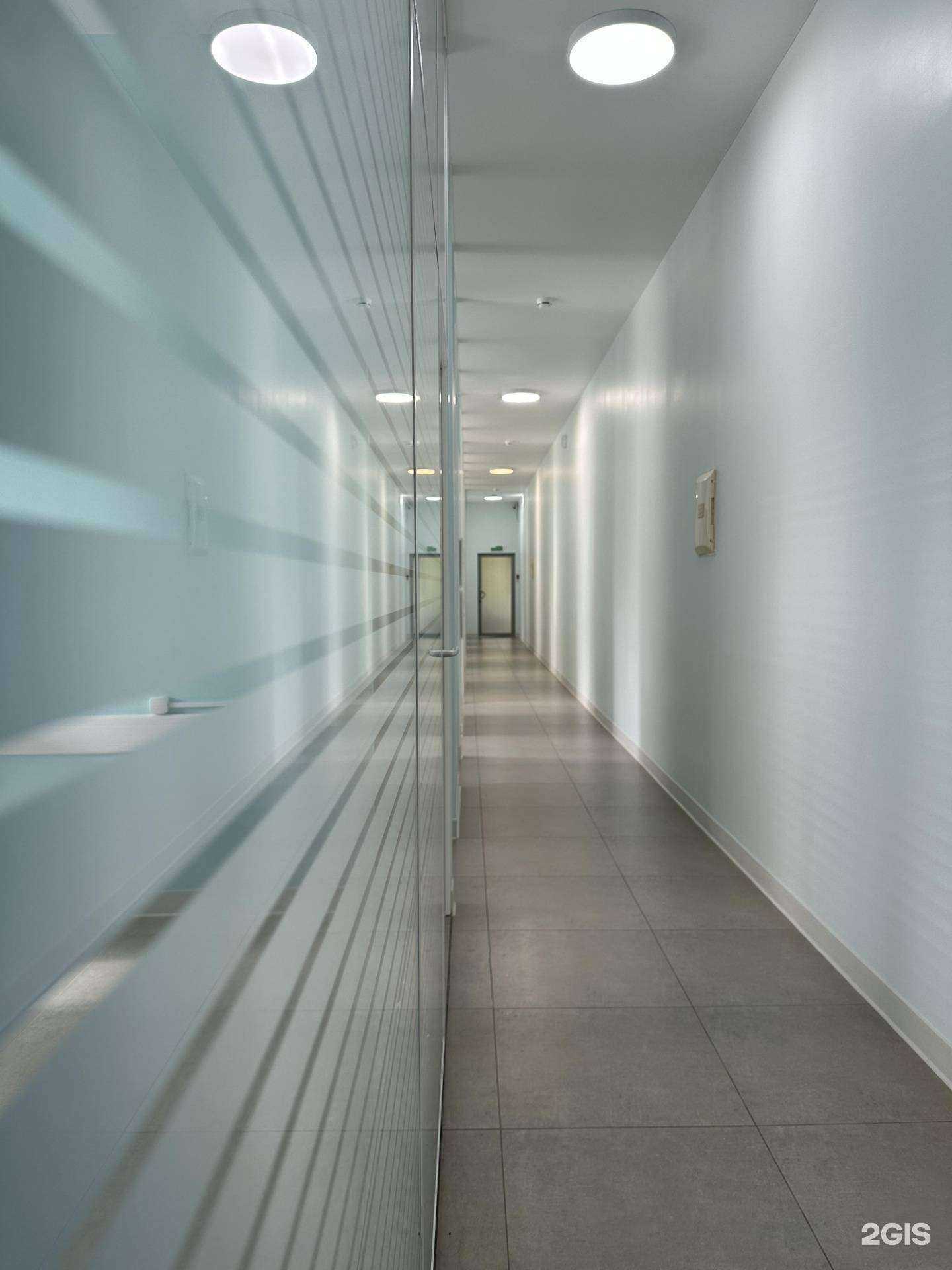 Отзывы на компанию Эндемика в г. Владивосток c фото