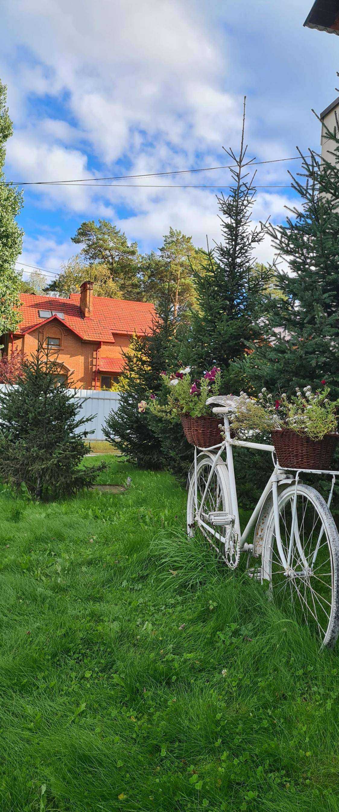 Отзывы на компанию Метелица в г. Бердск c фото