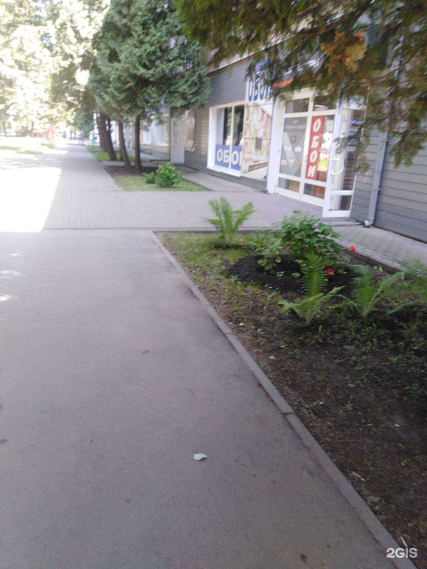 Отзывы на компанию Обойный ряд в Тамбове c фото