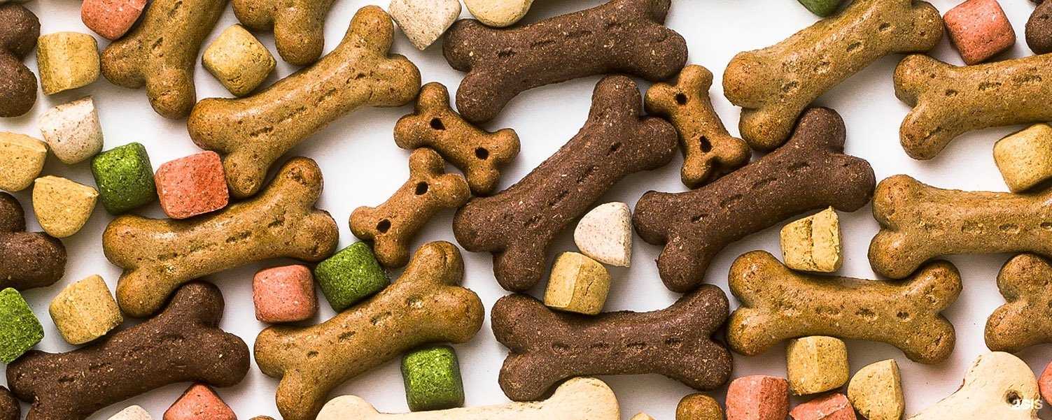 Отзывы на компанию Весна в Нижнем Тагиле c фото