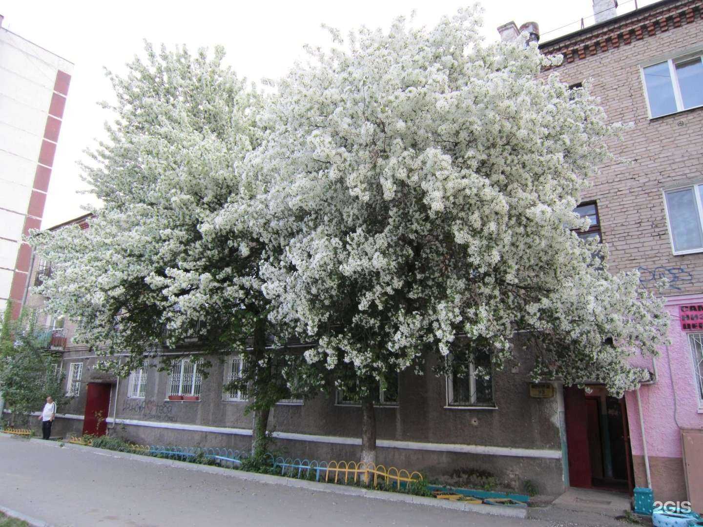 Отзывы на компанию Авторизованный сервисный центр в Перми c фото - фотография 2 из 2