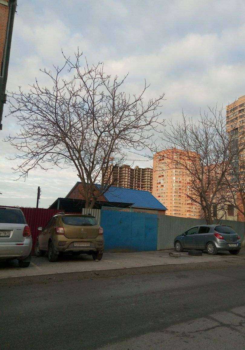 Отзывы на компанию Максавит в Ростове-на-Дону c фото - фотография 2 из 2