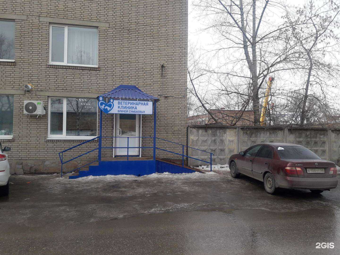 Отзывы на компанию Федерация спортивно-прикладного собаководства в Пензе c фото - фотография 2 из 2