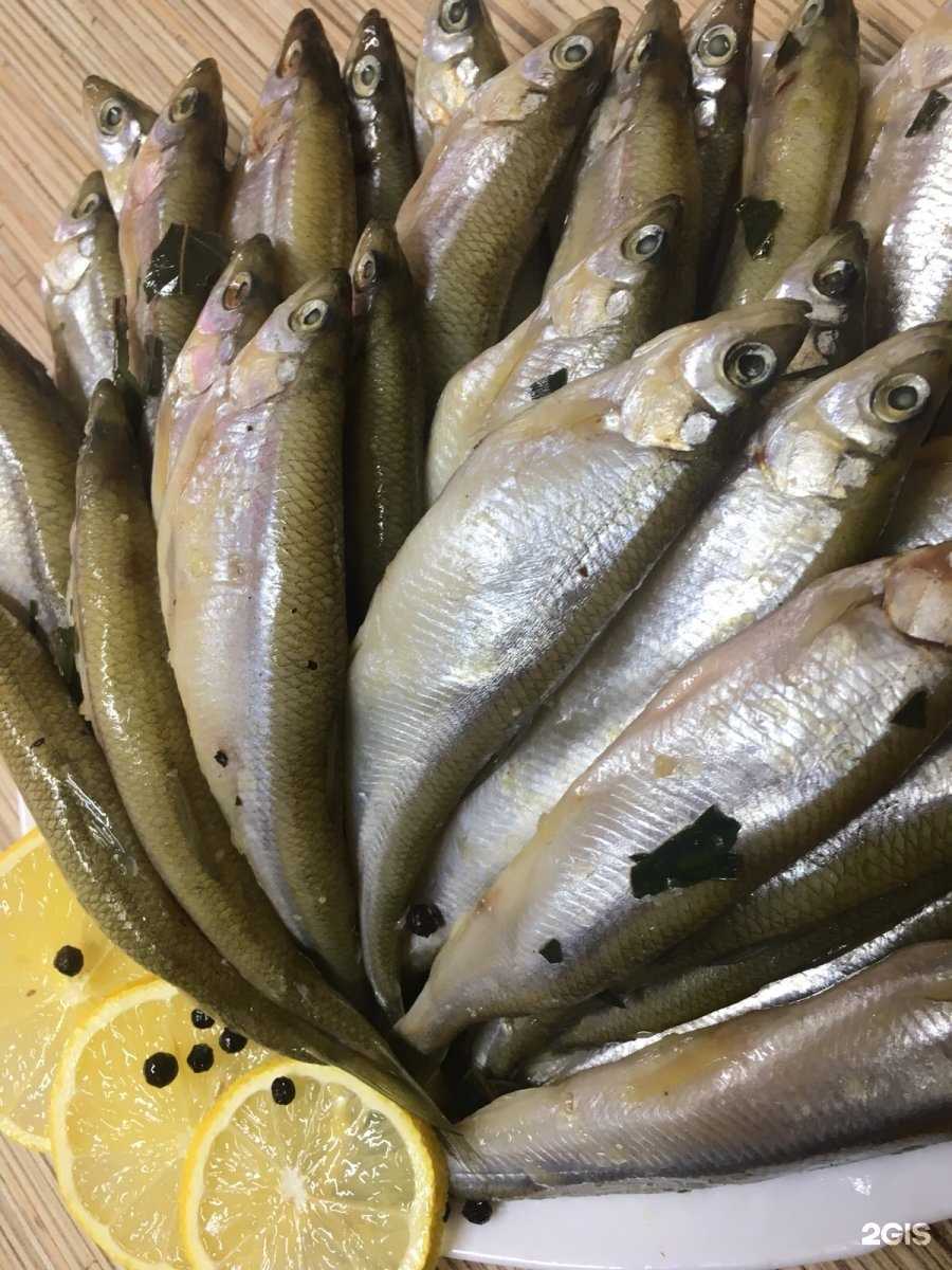 Отзывы на компанию Ангара в г. Красноярск c фото