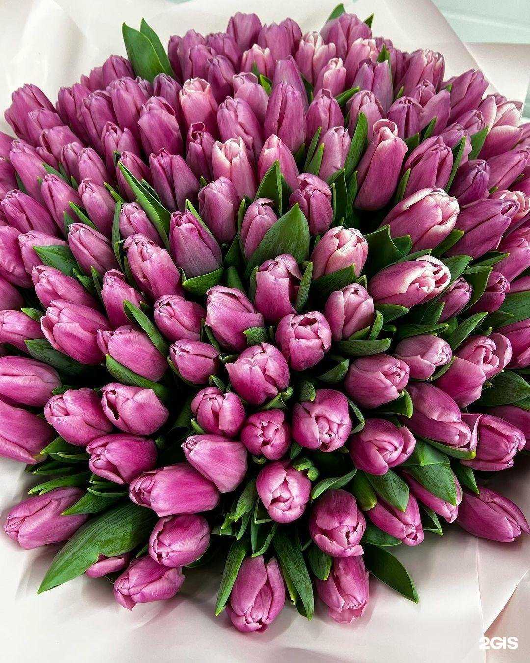 Отзывы на компанию 7 роз в Ессентуках c фото