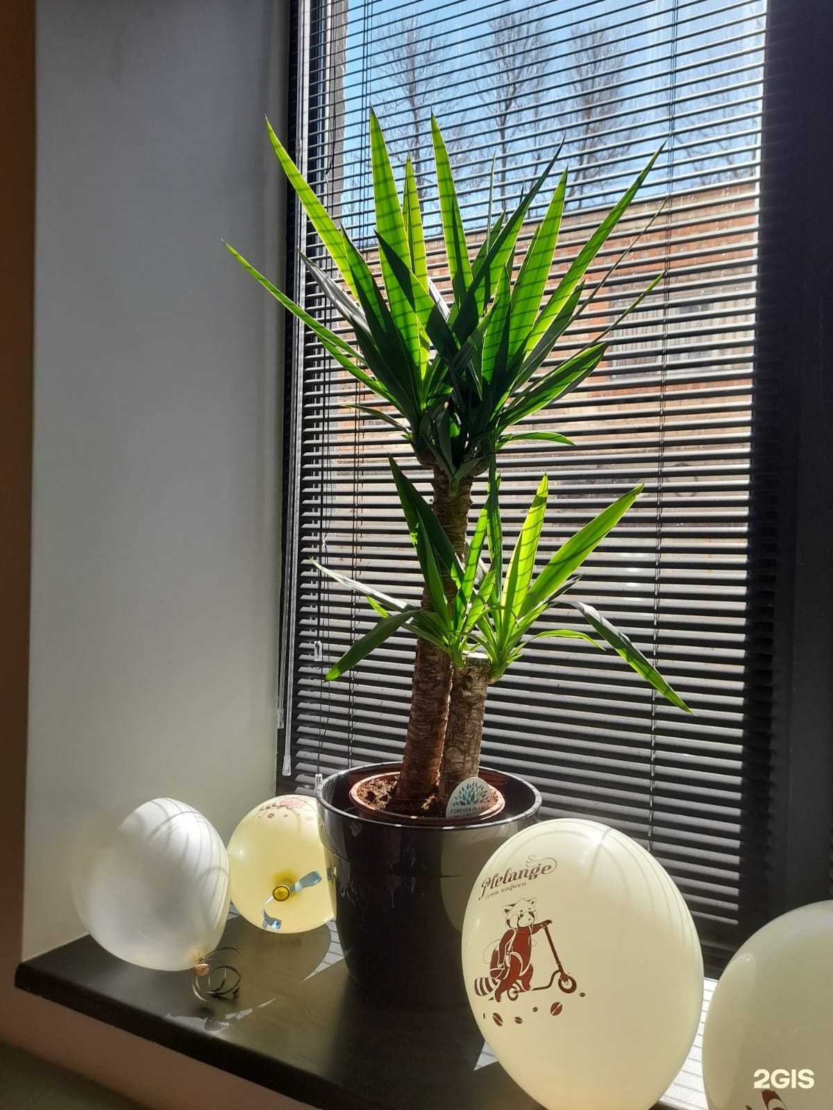 Отзывы на компанию Melange в Владивостоке c фото