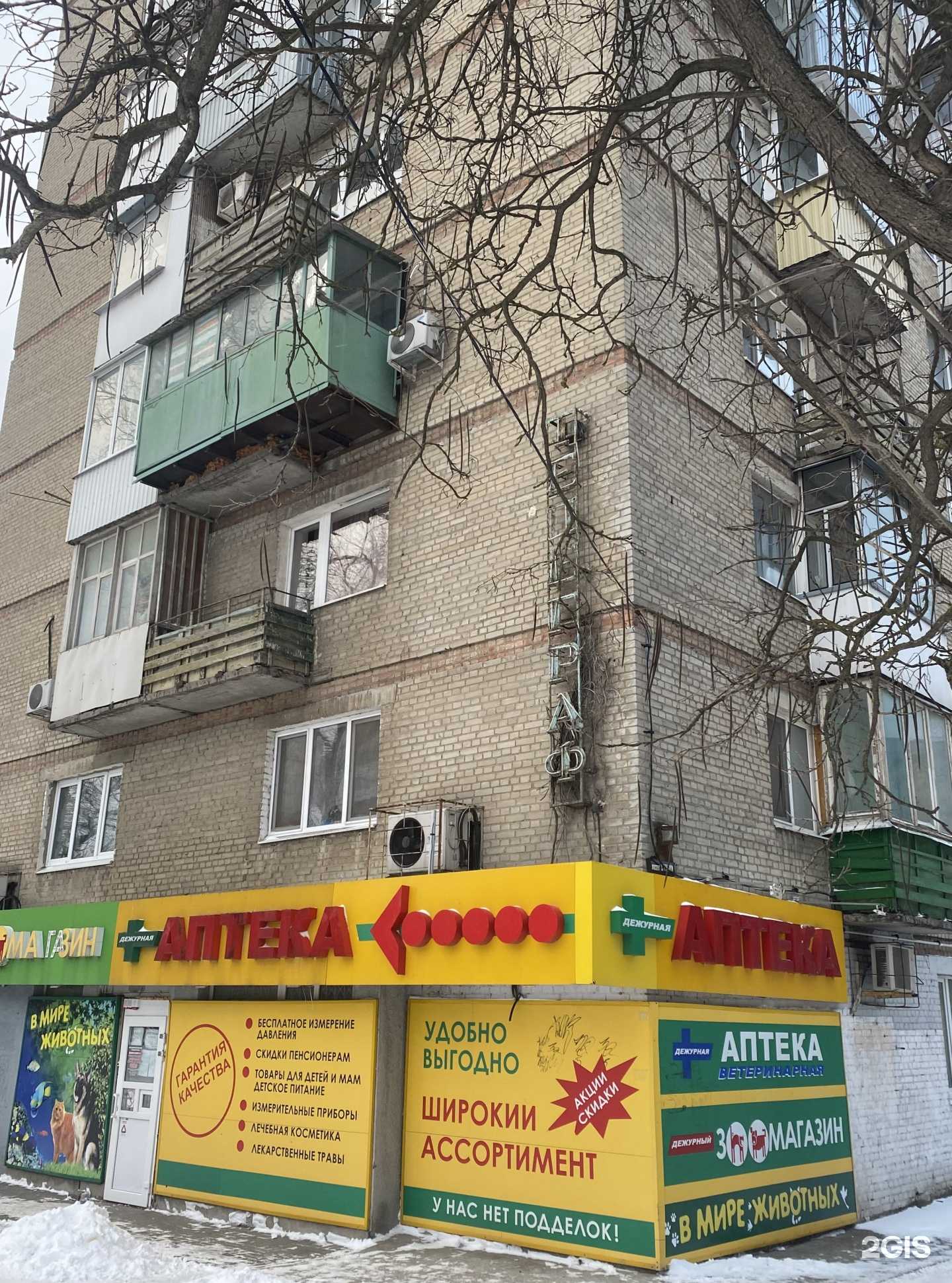 Отзывы на компанию В мире животных в Ростове-на-Дону c фото - фотография 2 из 2