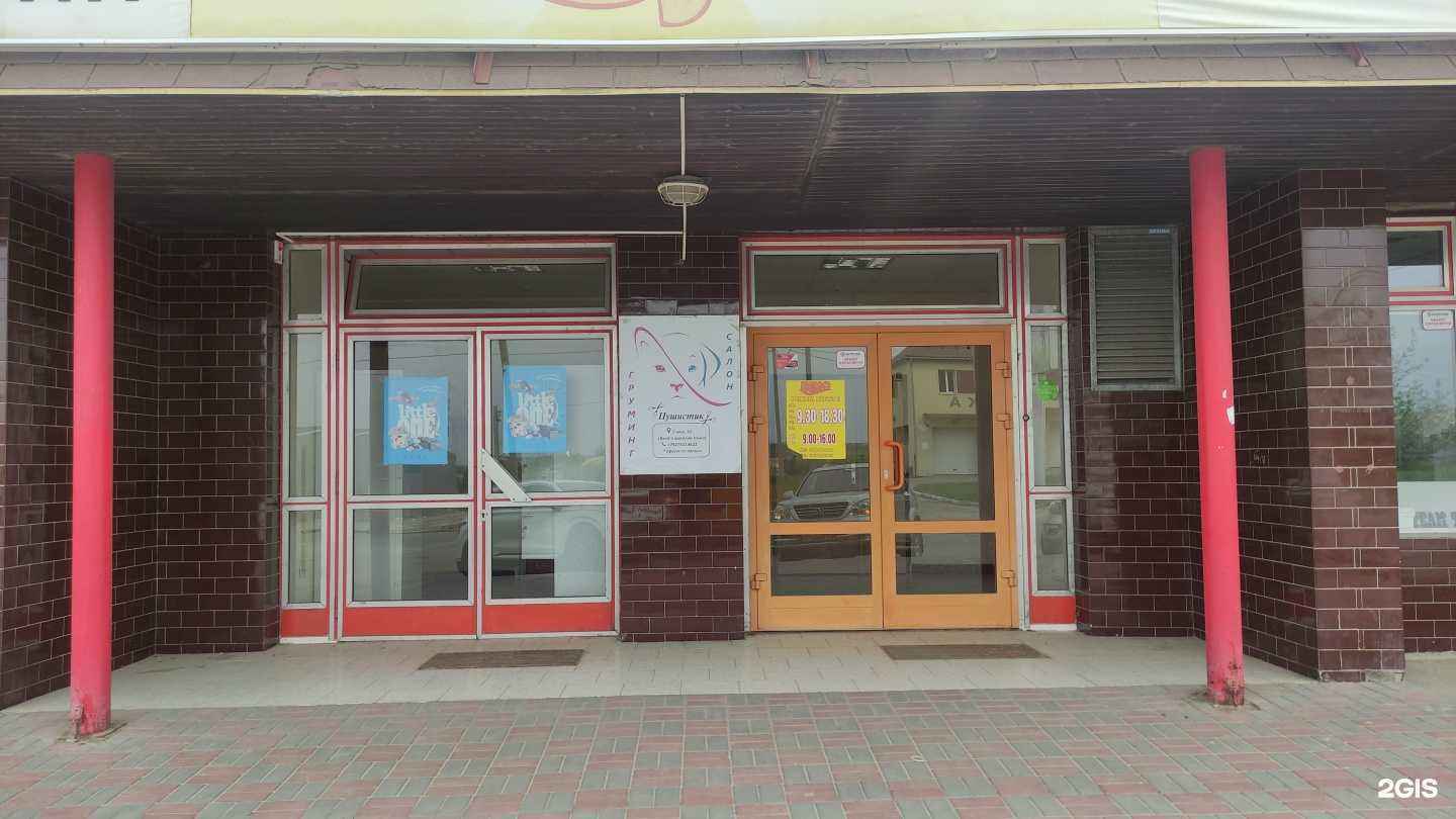 Отзывы на компанию Пушистик в Камышине c фото