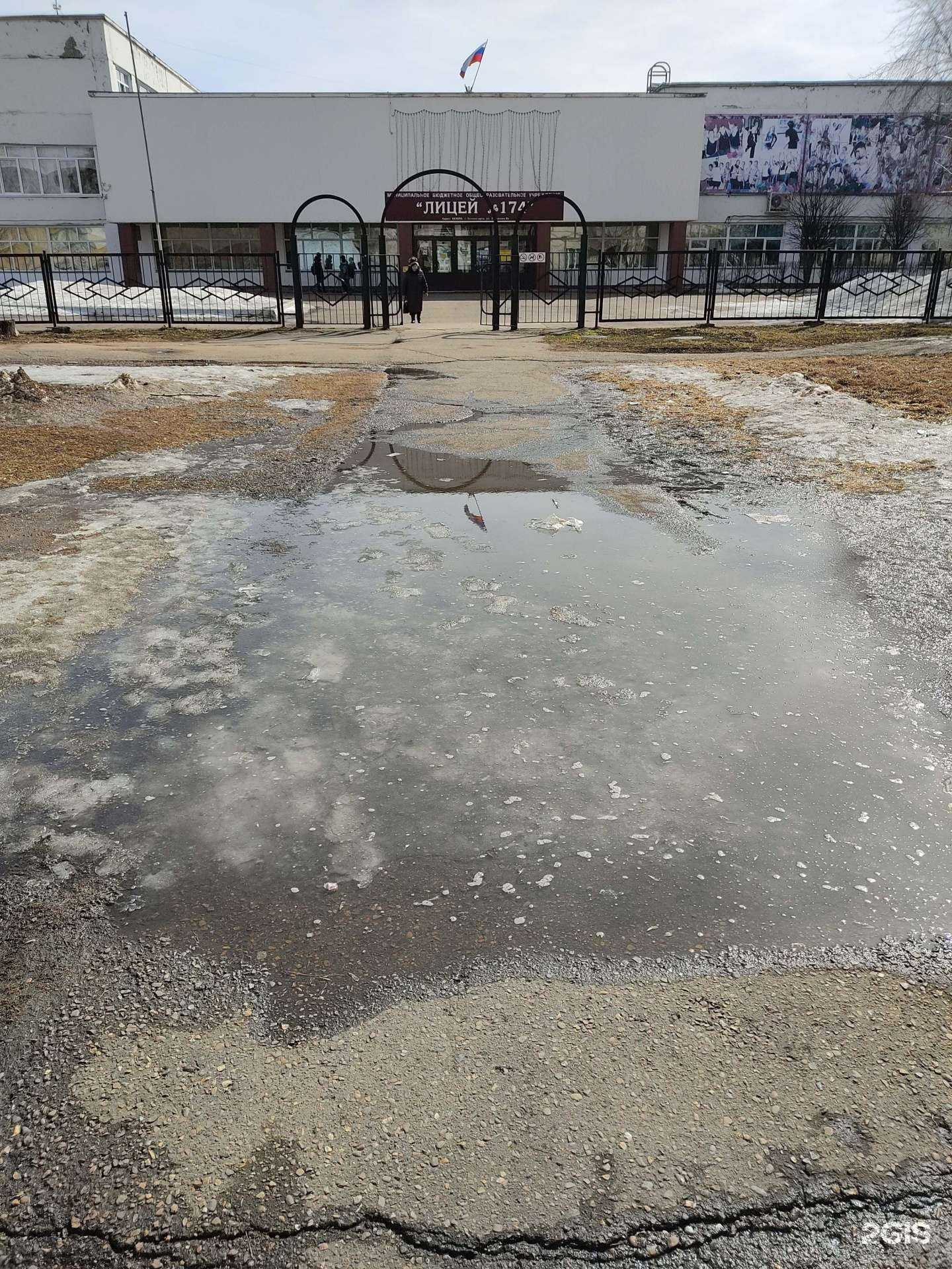 Отзывы на компанию Лицей №174 в г. Зеленогорск c фото