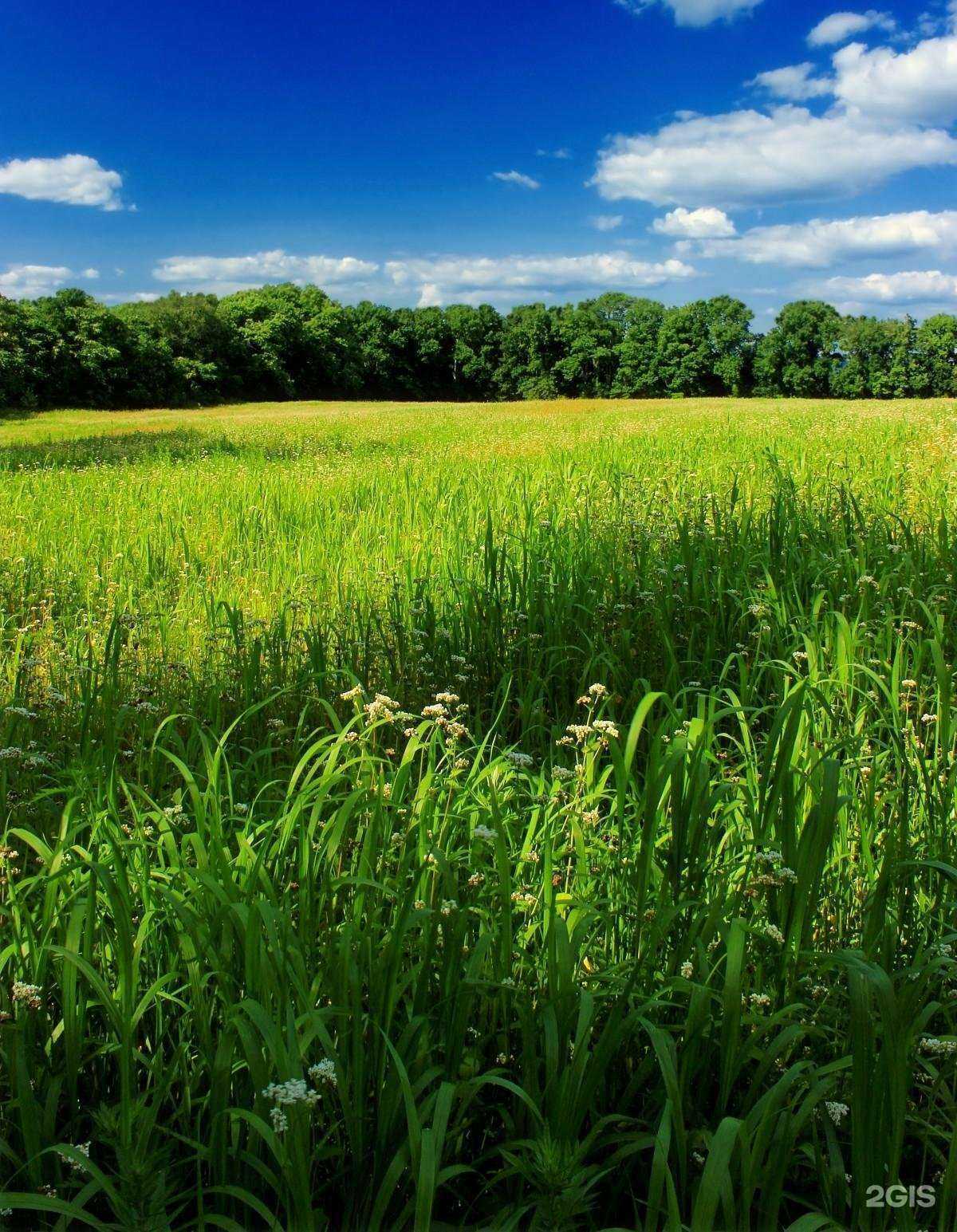 Отзывы на компанию ТехЭко в г. Красноярск c фото