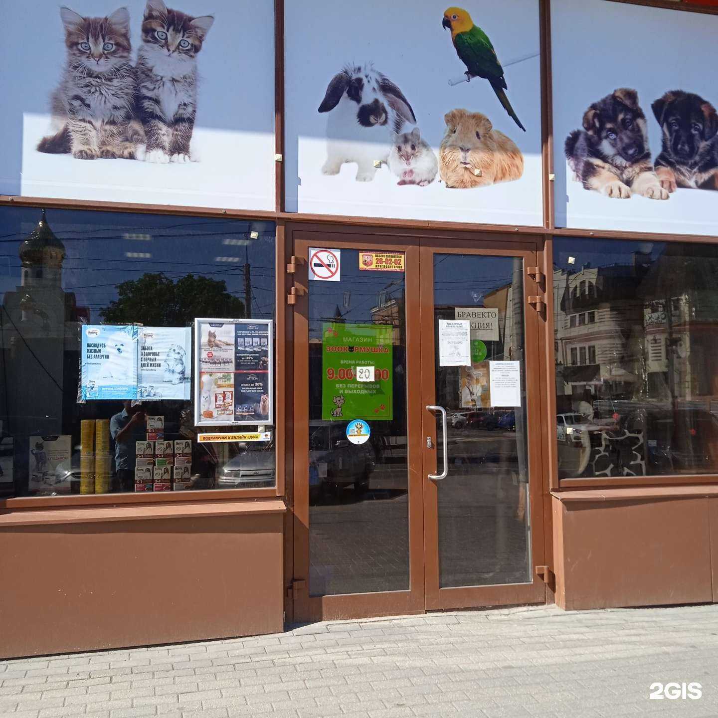 Отзывы на компанию Зоокормушка в Иванове c фото