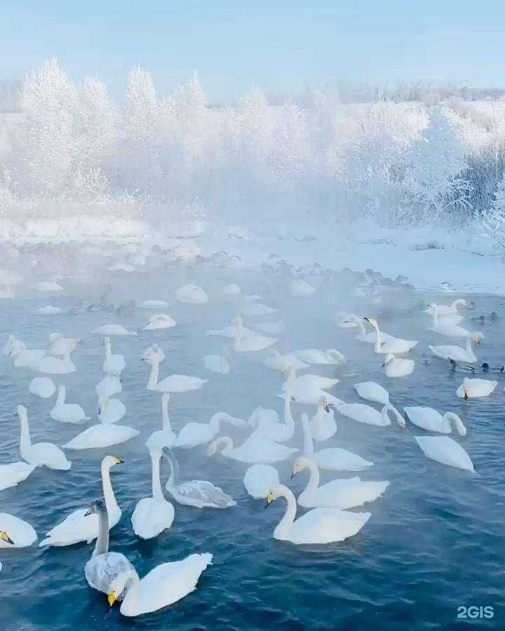 Отзывы на компанию Алеан в Кисловодске c фото