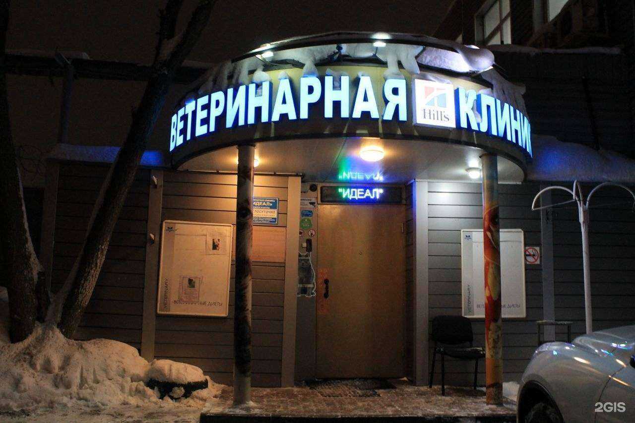 Отзывы на компанию Зоо идеал в Химках c фото