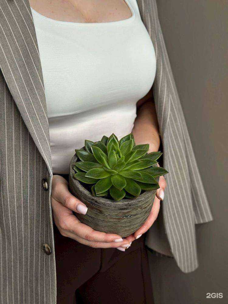 Отзывы на компанию Просто Зелено в Находке c фото