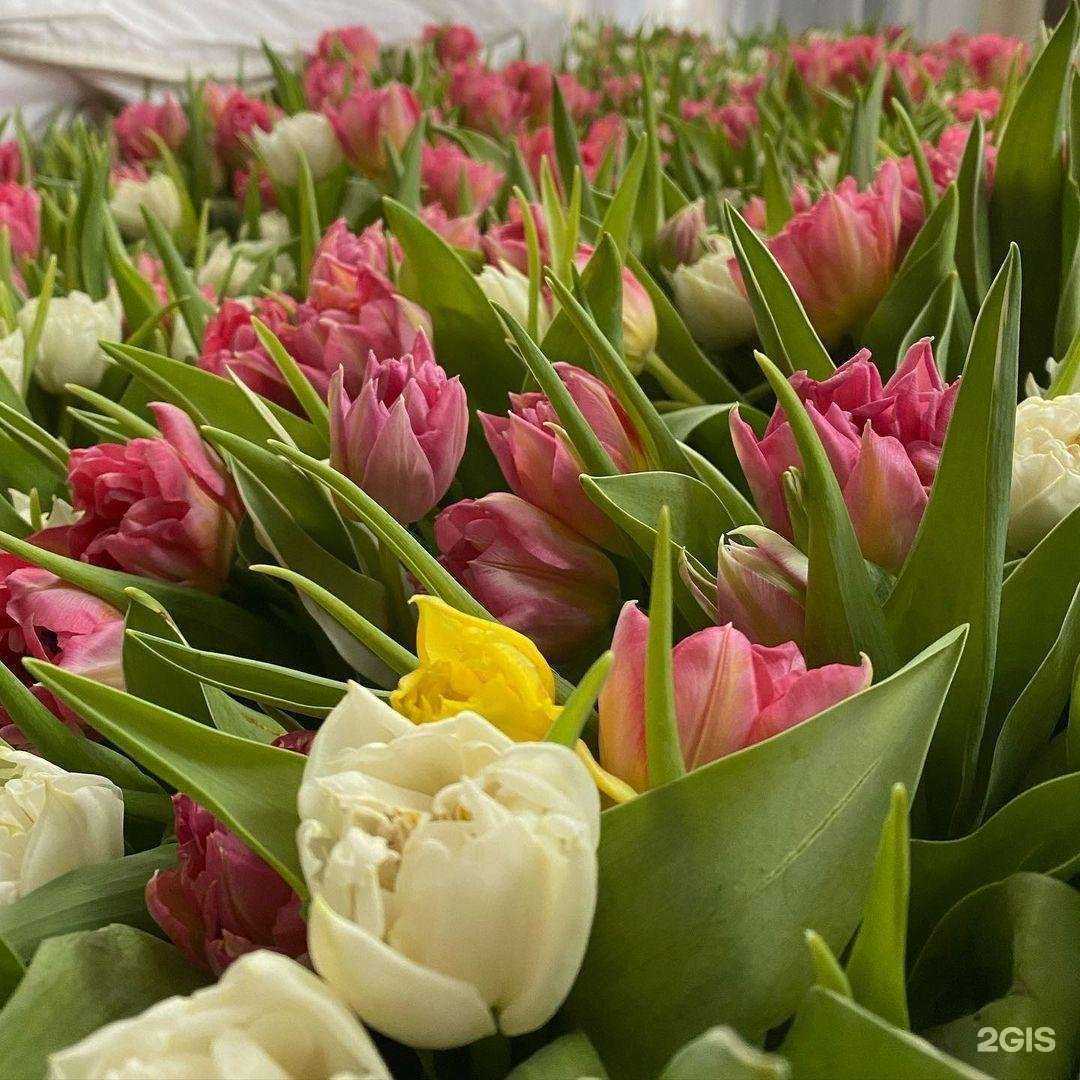 Отзывы на компанию Жемчужина в Нижнем Новгороде c фото