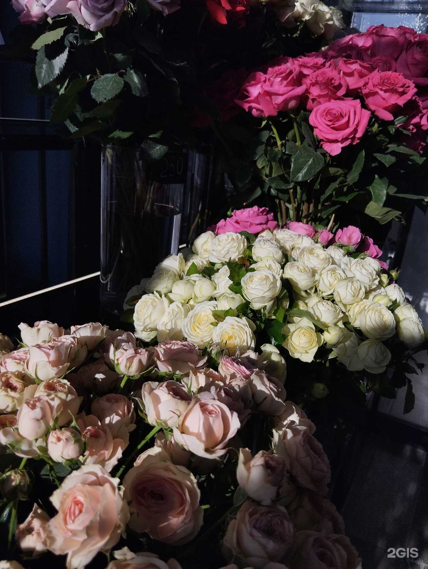 Отзывы на компанию Yes Today в г. Тюмень c фото