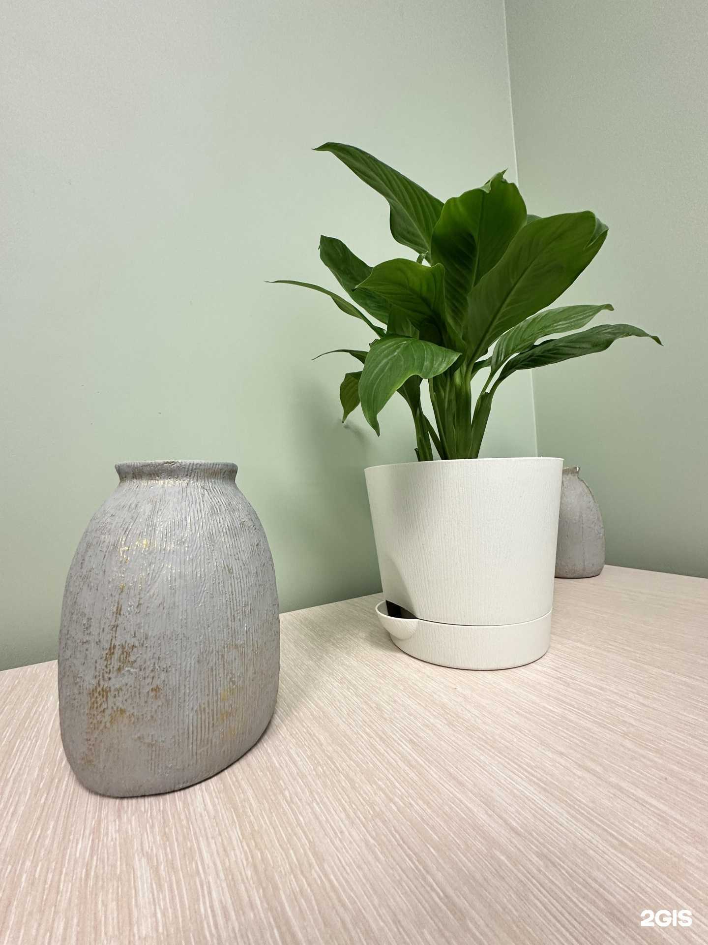 Отзывы на компанию Saxap в г. Владимир c фото