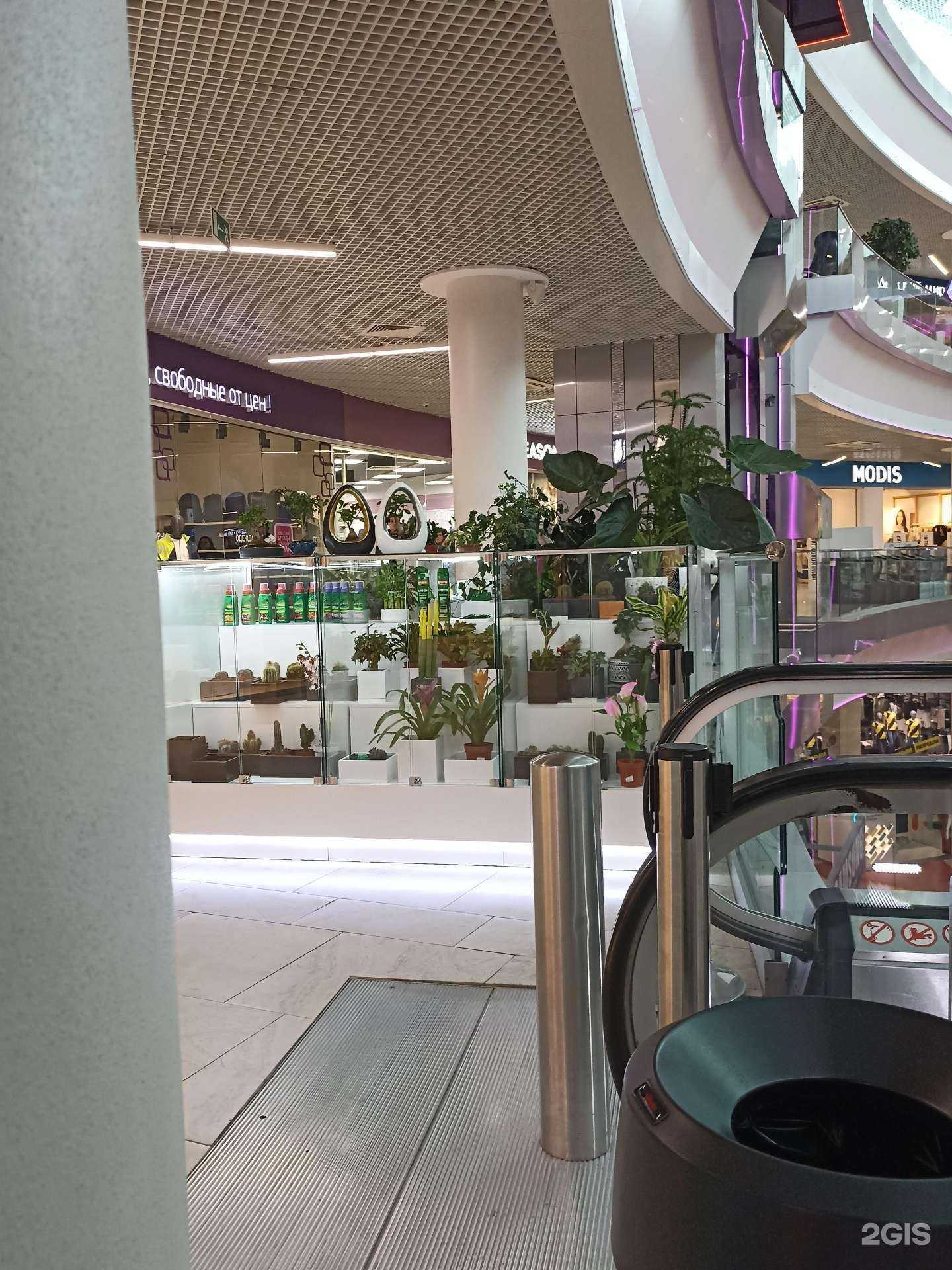 Отзывы на компанию Азалия в г. Архангельск c фото