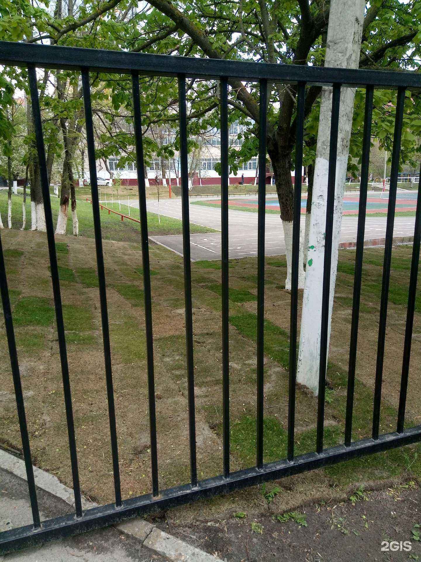 Отзывы на компанию Средняя школа №30 в г. Ростов-на-Дону c фото