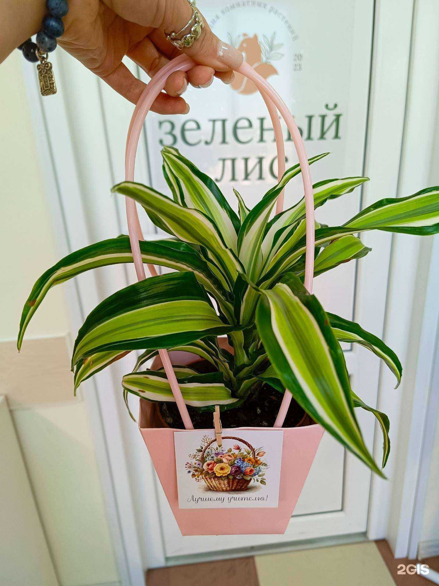 Отзывы на компанию Зеленый Лис в Рязани c фото