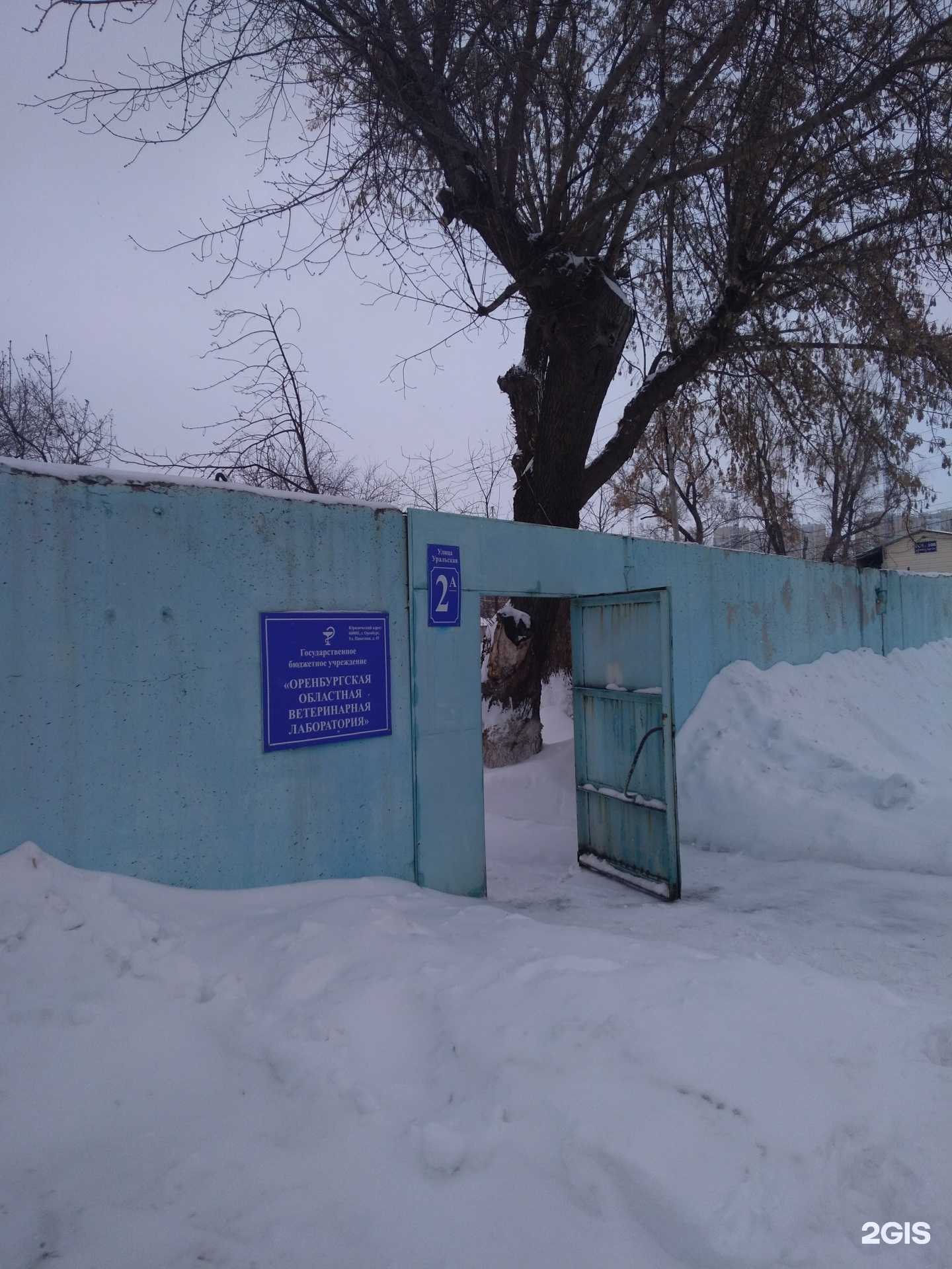 Отзывы на компанию Оренбургская областная ветеринарная лаборатория в г. Оренбург c фото