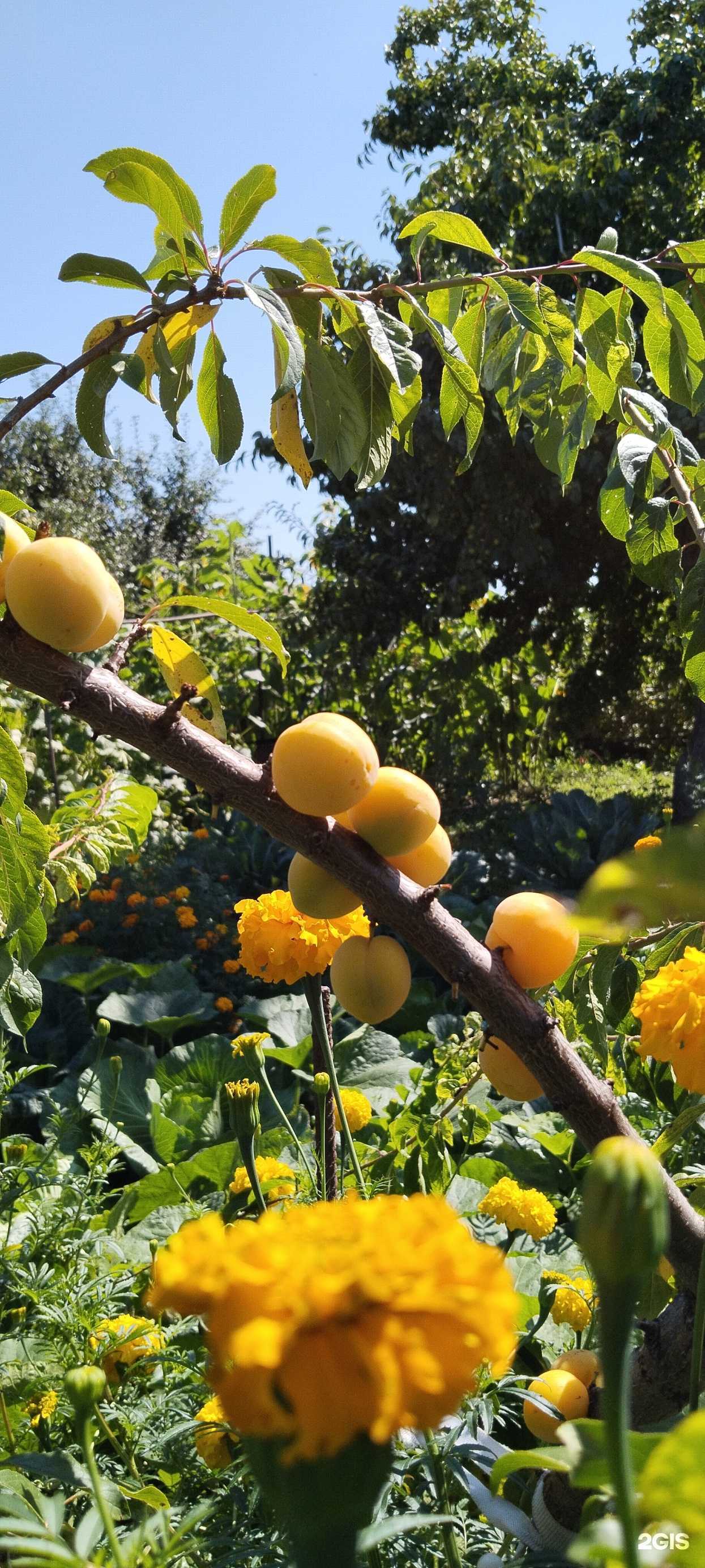 Отзывы на компанию Бухта рыбака в Бийске c фото