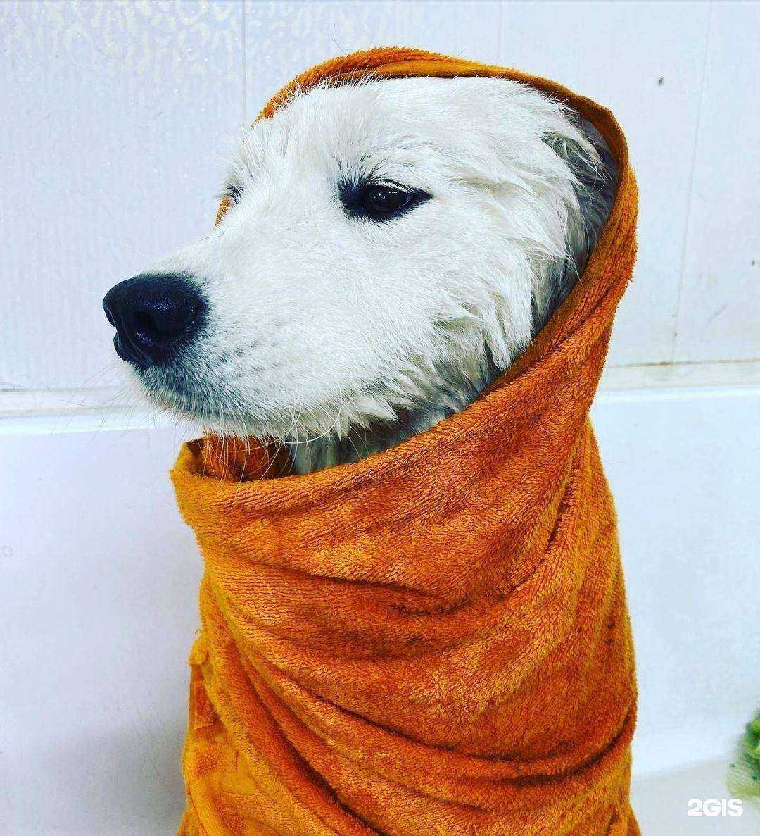 Отзывы на компанию Тайра в г. Бийск c фото