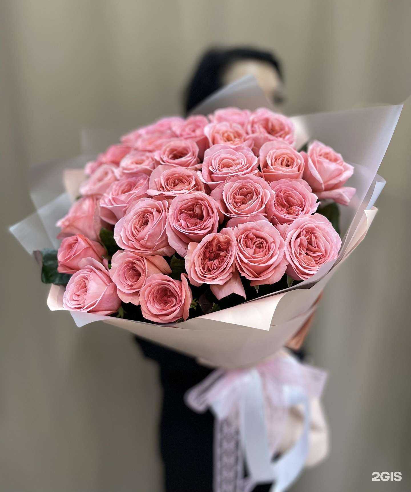 Отзывы на компанию Краспедия в Сочи c фото