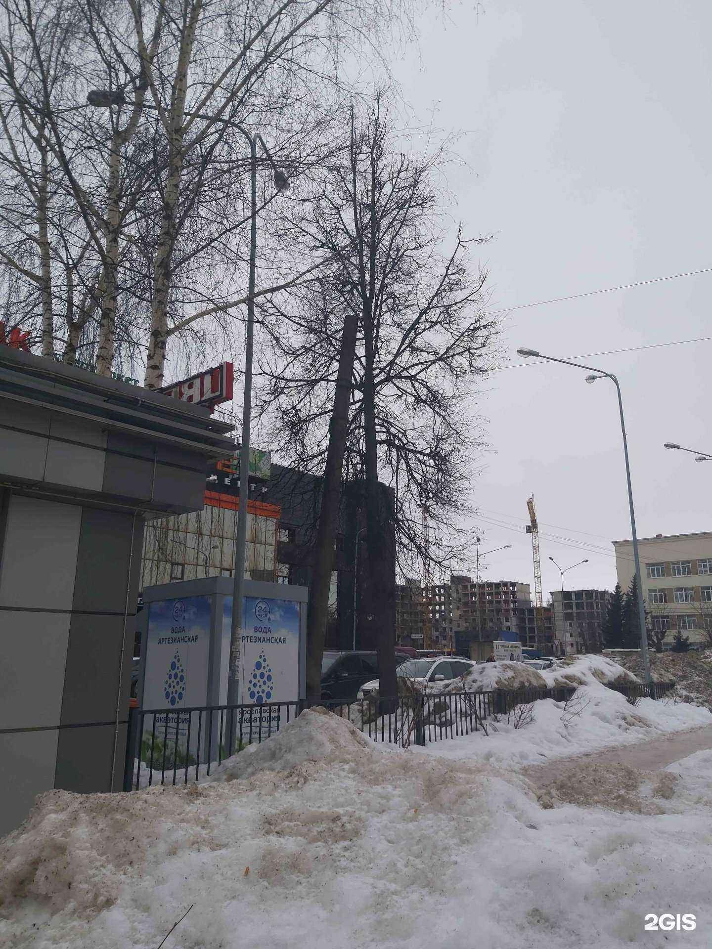 Отзывы на компанию Ярославская Акватория в Ярославле c фото