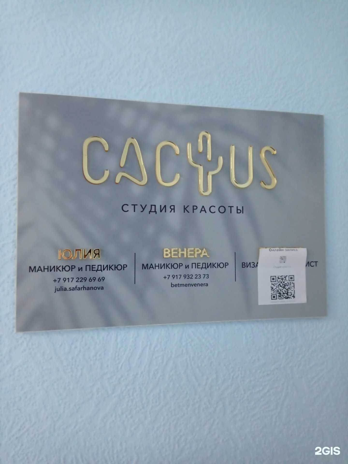 Отзывы на компанию Cactus в г. Альметьевск c фото