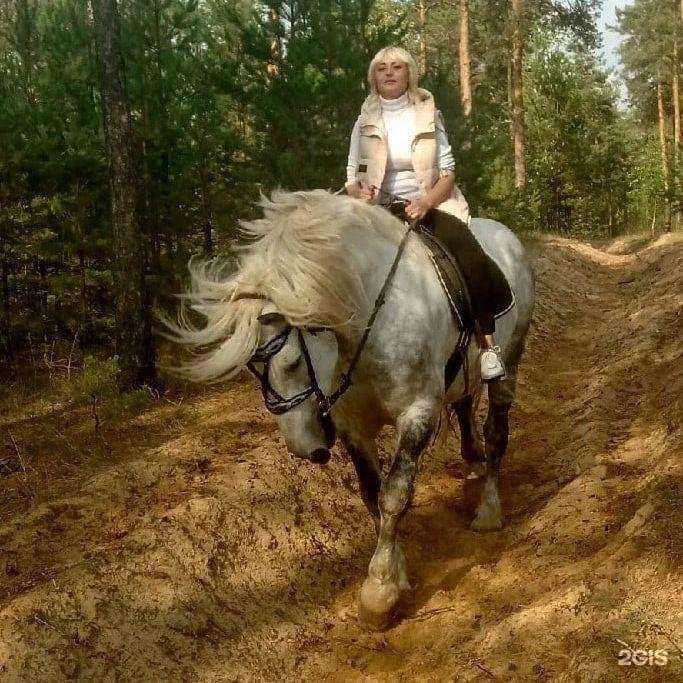 Отзывы на компанию Крейзи-пони в г. Нижний Новгород c фото