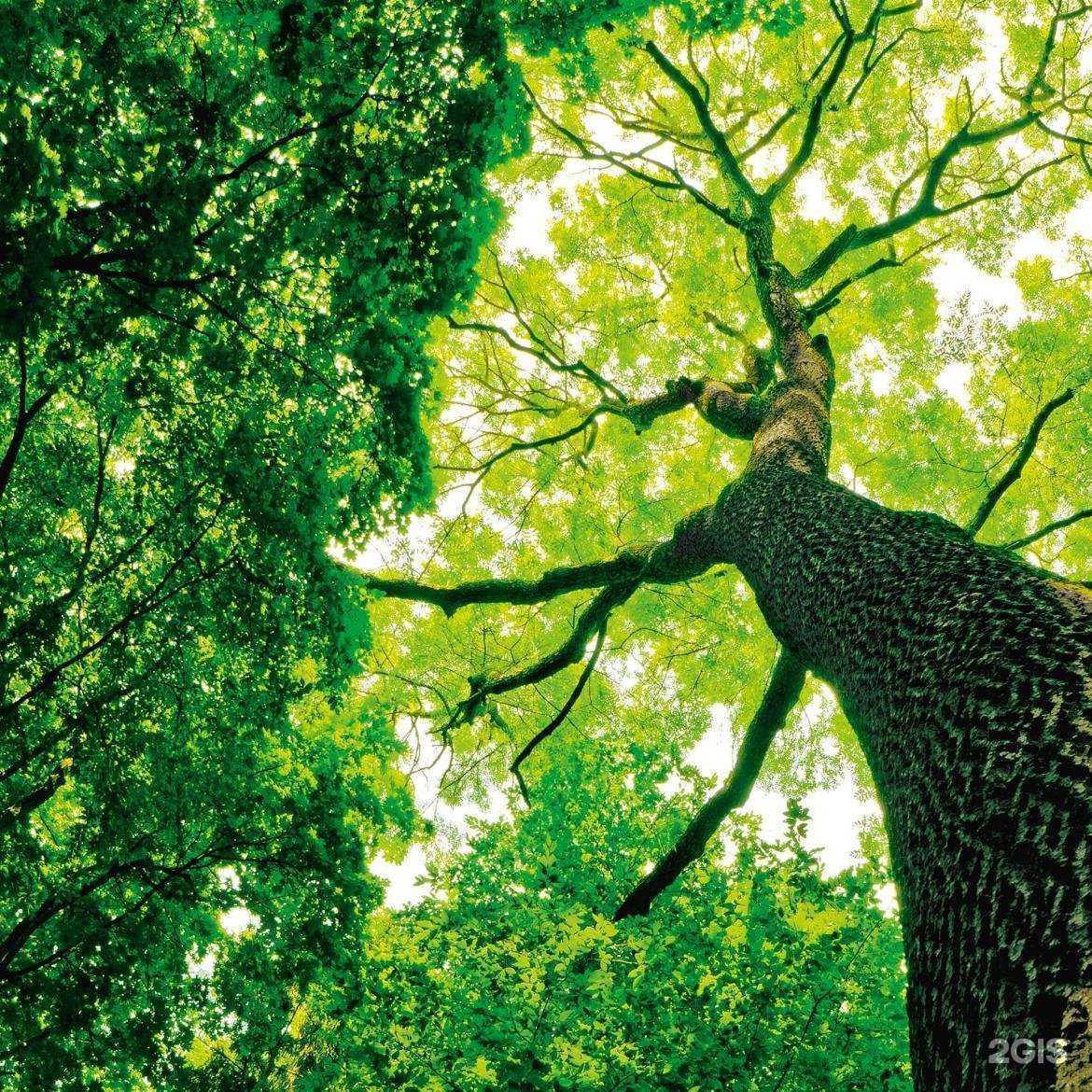 Отзывы на компанию Сен-Гобен в Новосибирске c фото