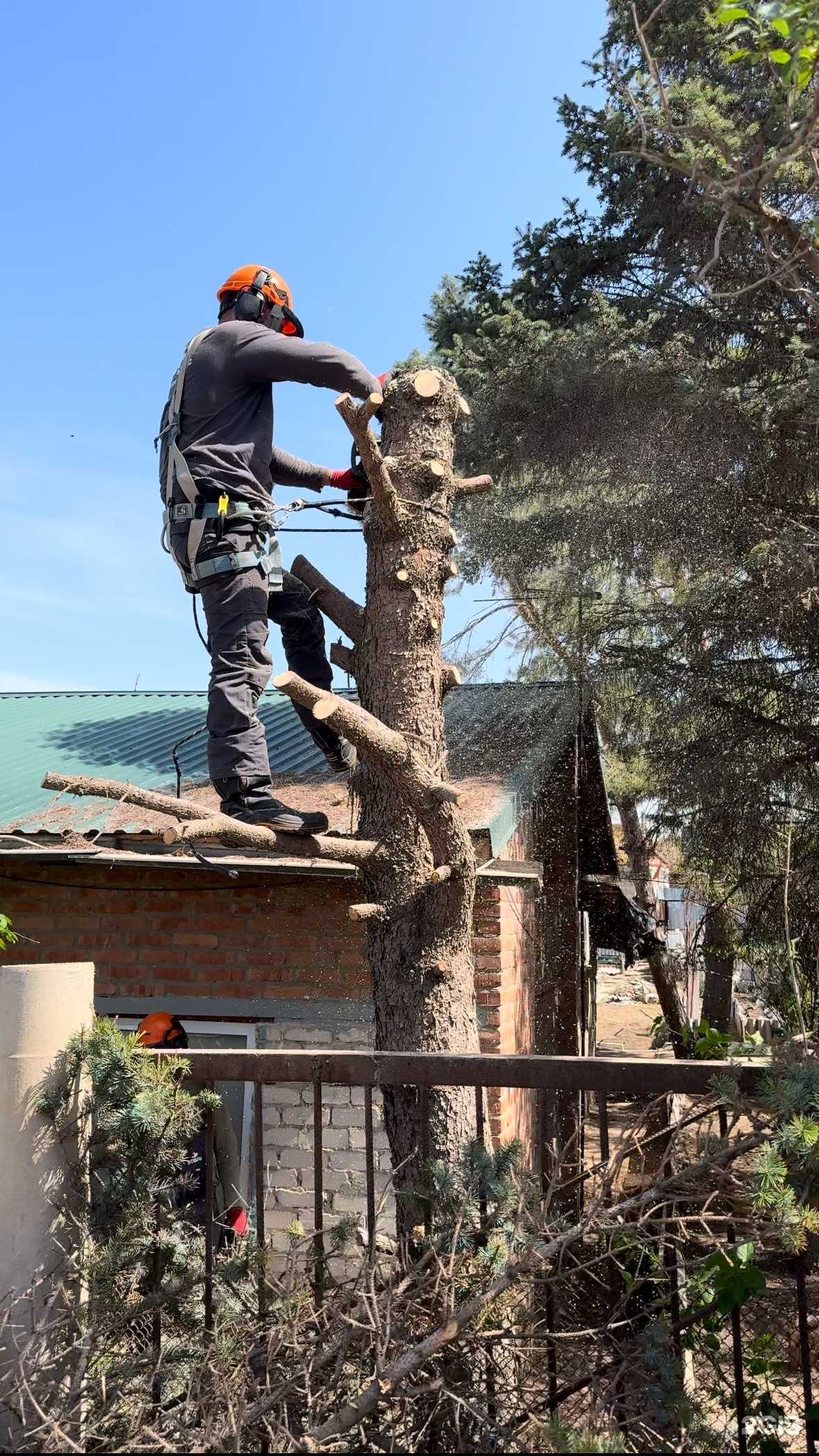 Отзывы на компанию Бобры в г. Астрахань c фото