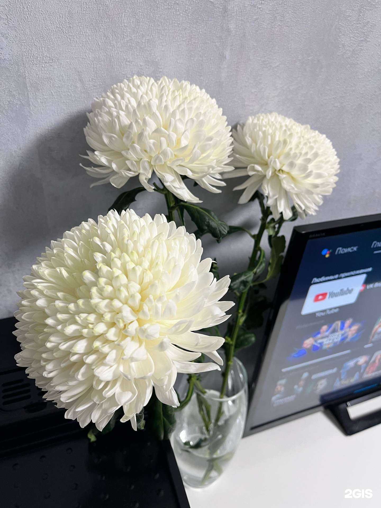 Отзывы на компанию Фабрика цветов в Нижнем Новгороде c фото