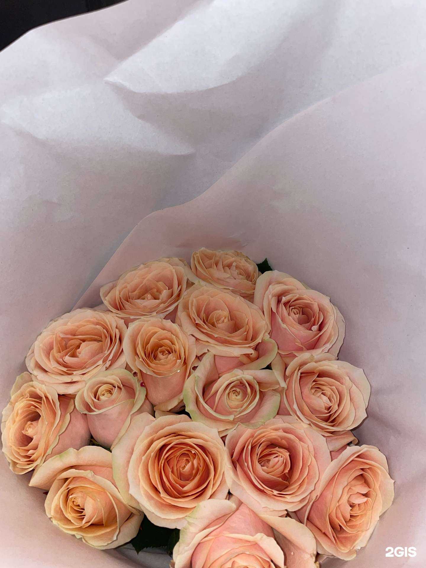 Отзывы на компанию Сириус в Новосибирске c фото - фотография 2 из 2