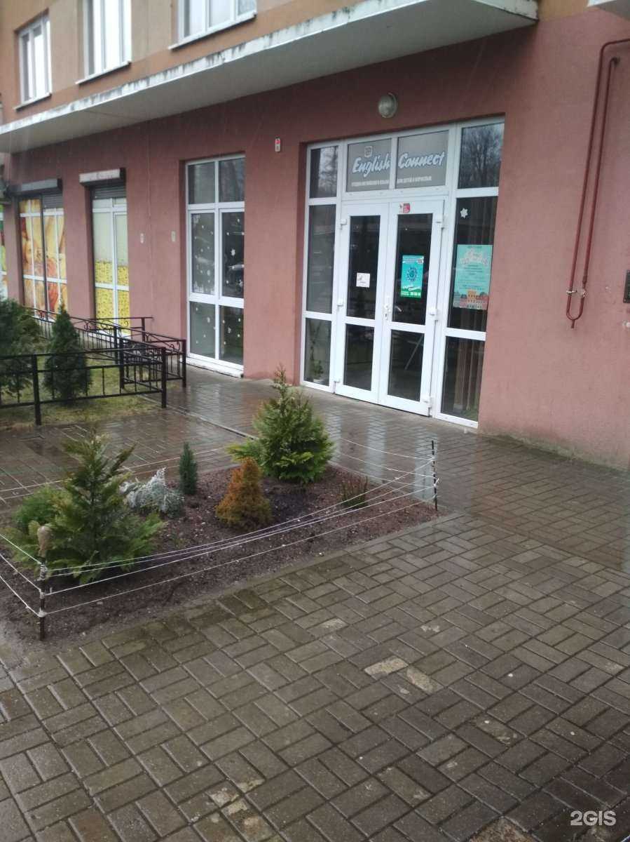 Отзывы на компанию English connect в Калининграде c фото