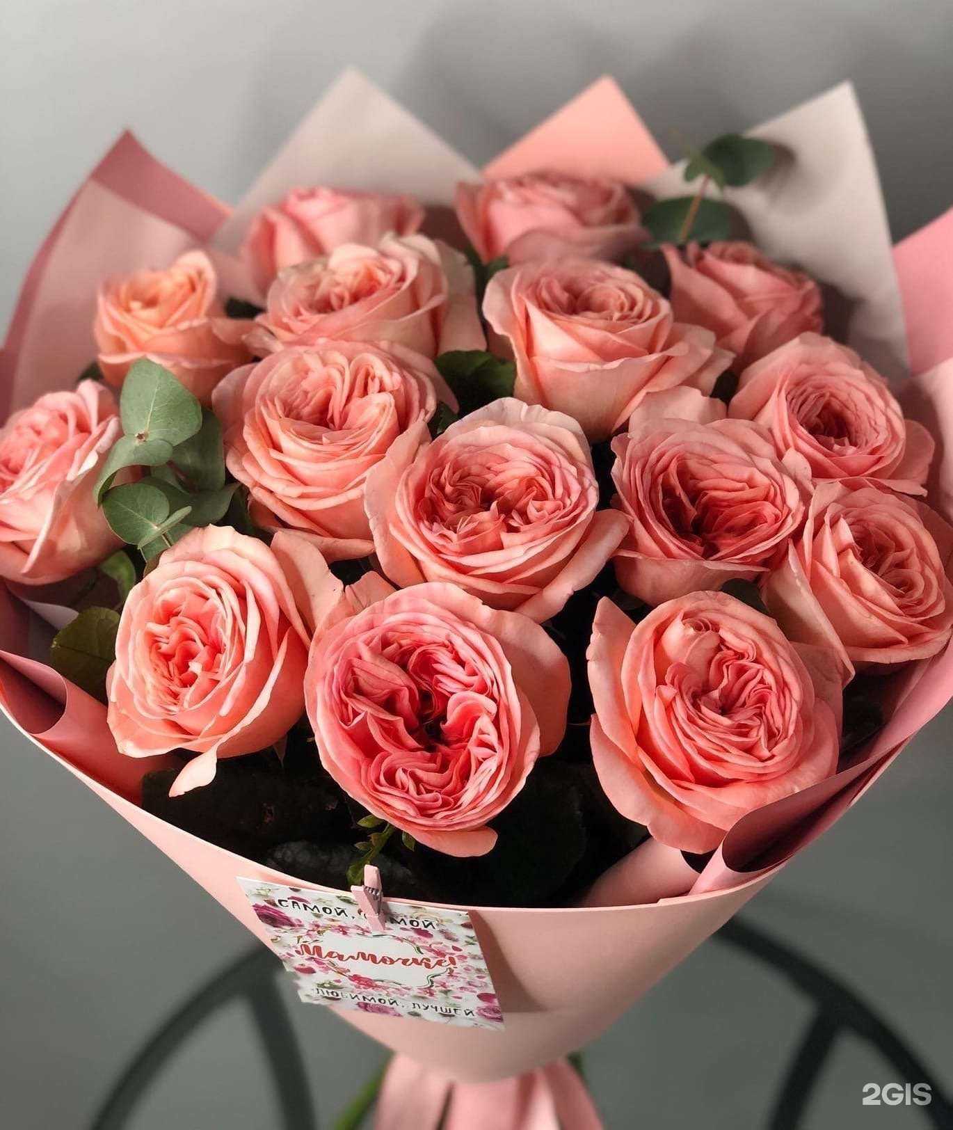 Отзывы на компанию Николь в г. Димитровград c фото