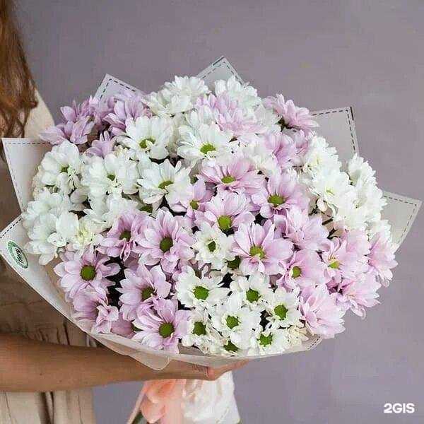 Отзывы на компанию Азалия в Сургуте c фото