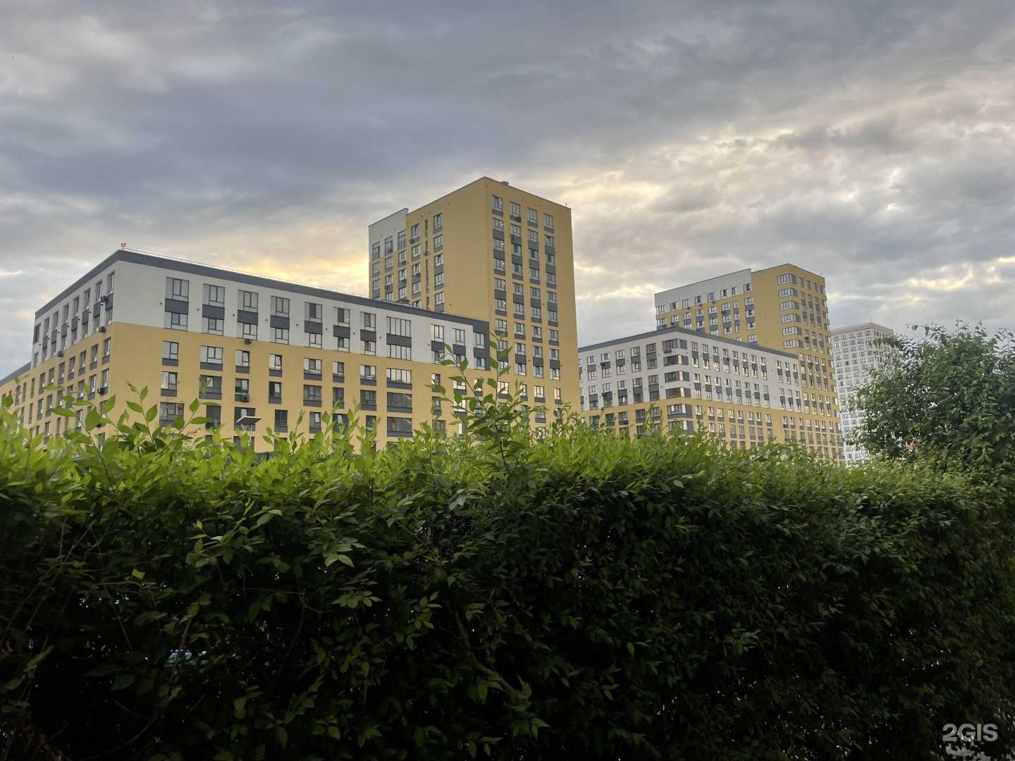 Отзывы на компанию Фотоцентр в г. Новосибирск c фото