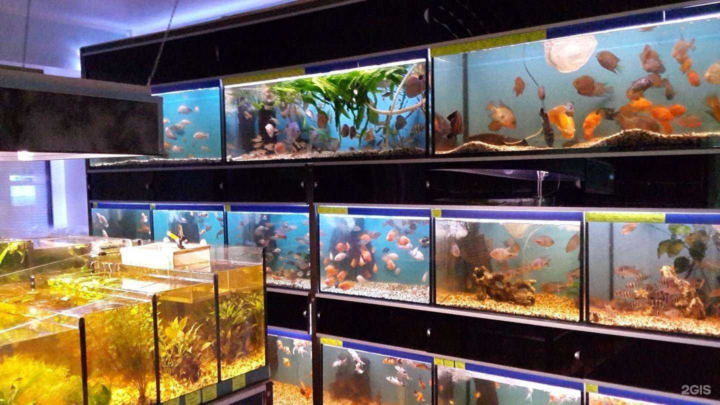 Отзывы на компанию Мир Аквариума в г. Тюмень c фото