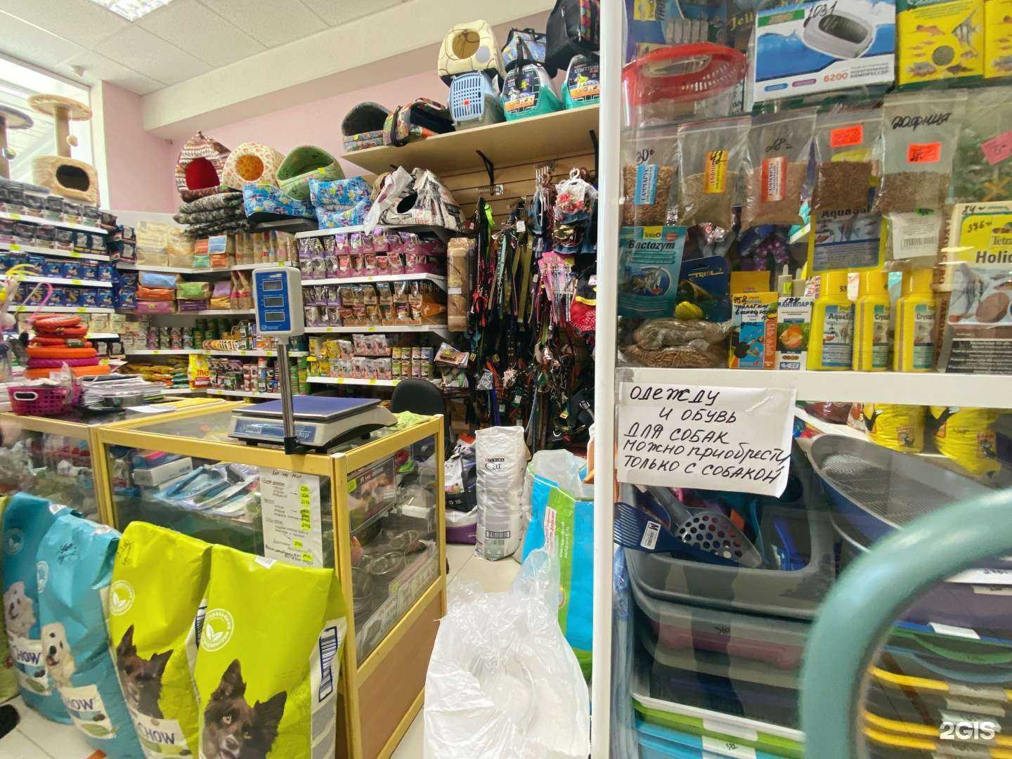 Отзывы на компанию Шенди в Северске c фото