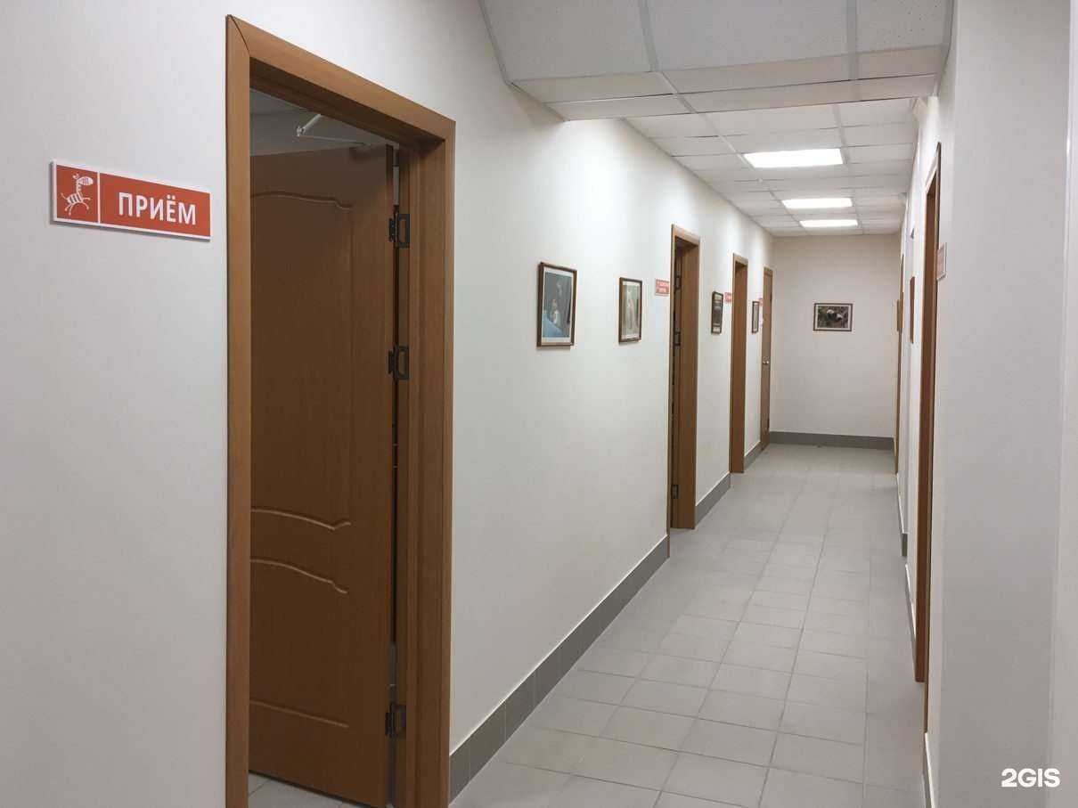 Отзывы на компанию Зебра в Тольятти c фото