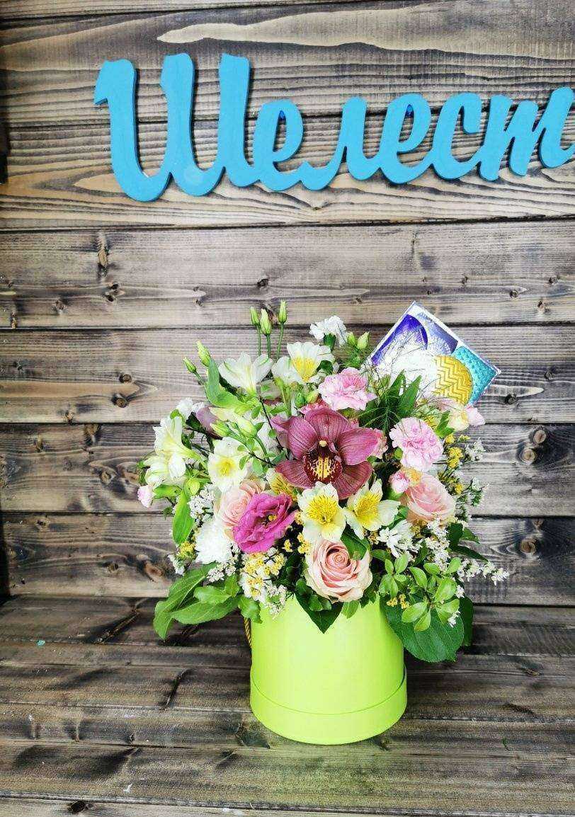 Отзывы на компанию Шелест в г. Вилючинск c фото