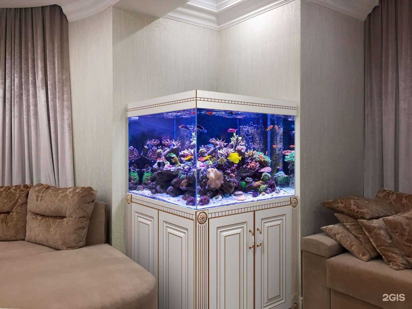 Отзывы на компанию Happyfishes в Самаре c фото