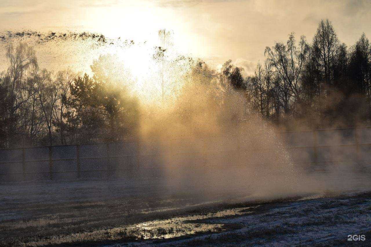 Отзывы на компанию Красная звезда в Омске c фото