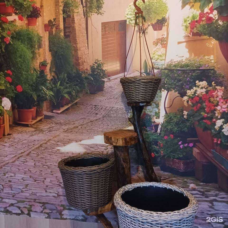 Отзывы на компанию Койсуг базар в Батайске c фото