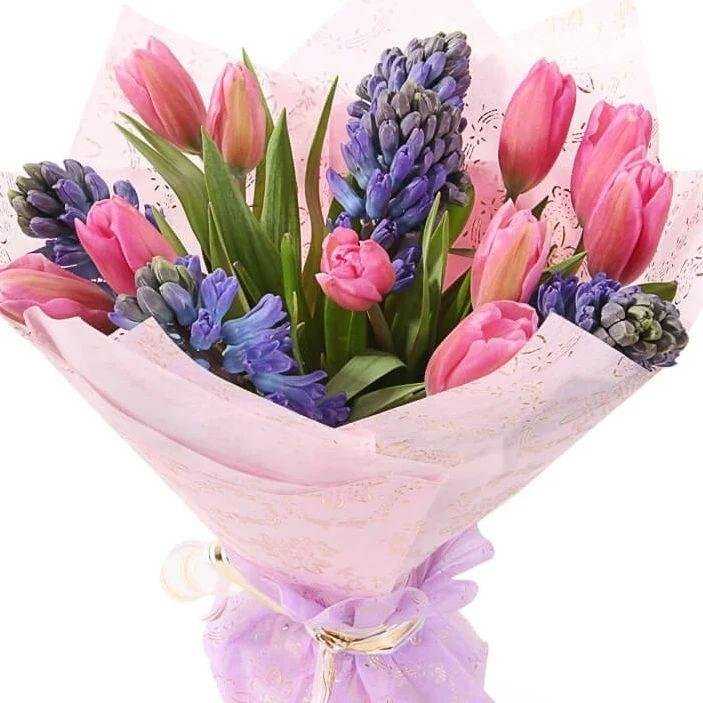 Отзывы на компанию Эдельвейс в Ангарске c фото