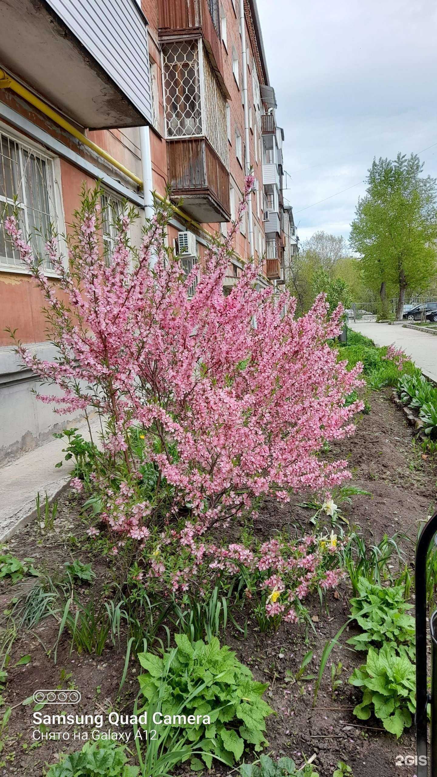 Отзывы на компанию Надежда в Перми c фото - фотография 2 из 2