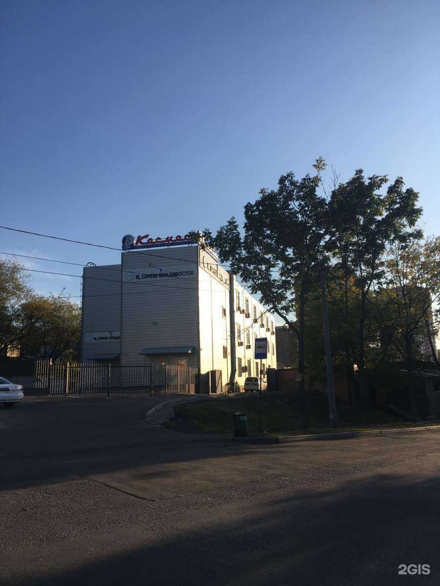 Отзывы на компанию М. Суреш Владивосток в Владивостоке c фото