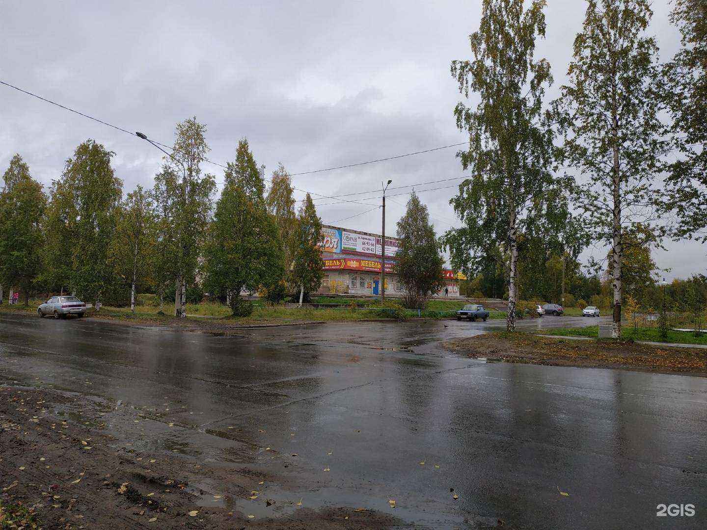 Отзывы на компанию Магазин цветов в Архангельске c фото - фотография 2 из 2